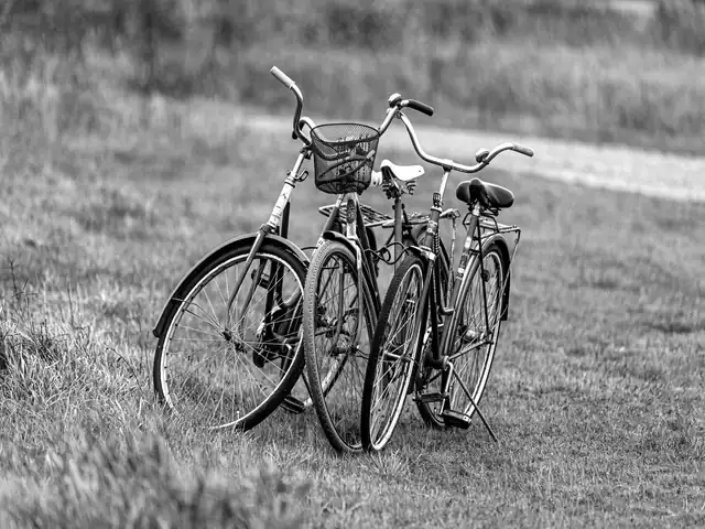 Twee oude fietsen in het gras naast een pad, in een rustig herfstlandschap